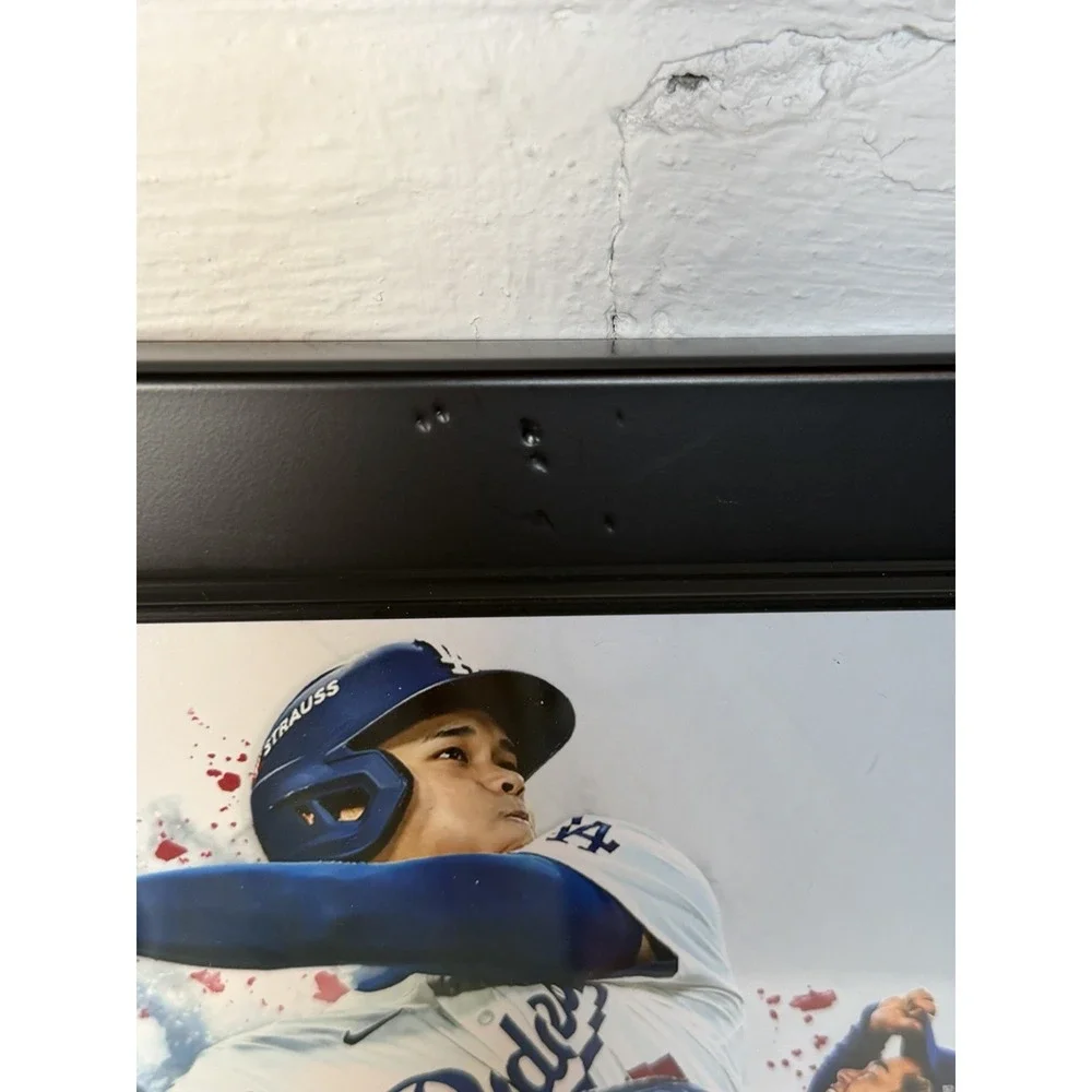 2025 LA Dodgers World Series Champions Framed Photo LE #69/2025 Fanatics MLB